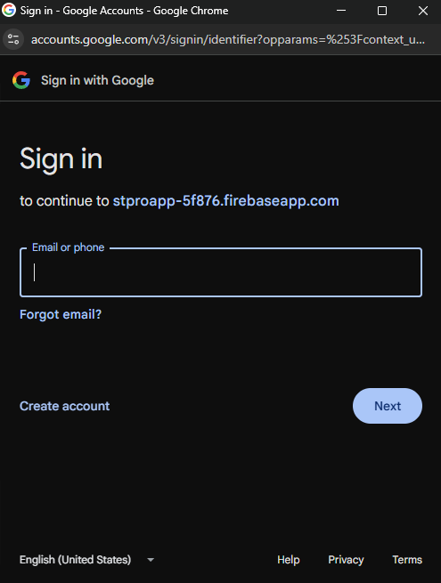 Google Login Interface